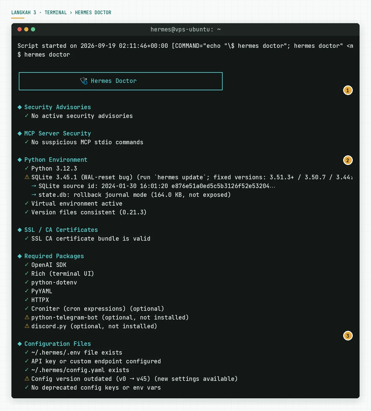 Keluaran hermes doctor dengan Security Advisories, Python Environment, Required Packages, Configuration Files, dan Auth Providers