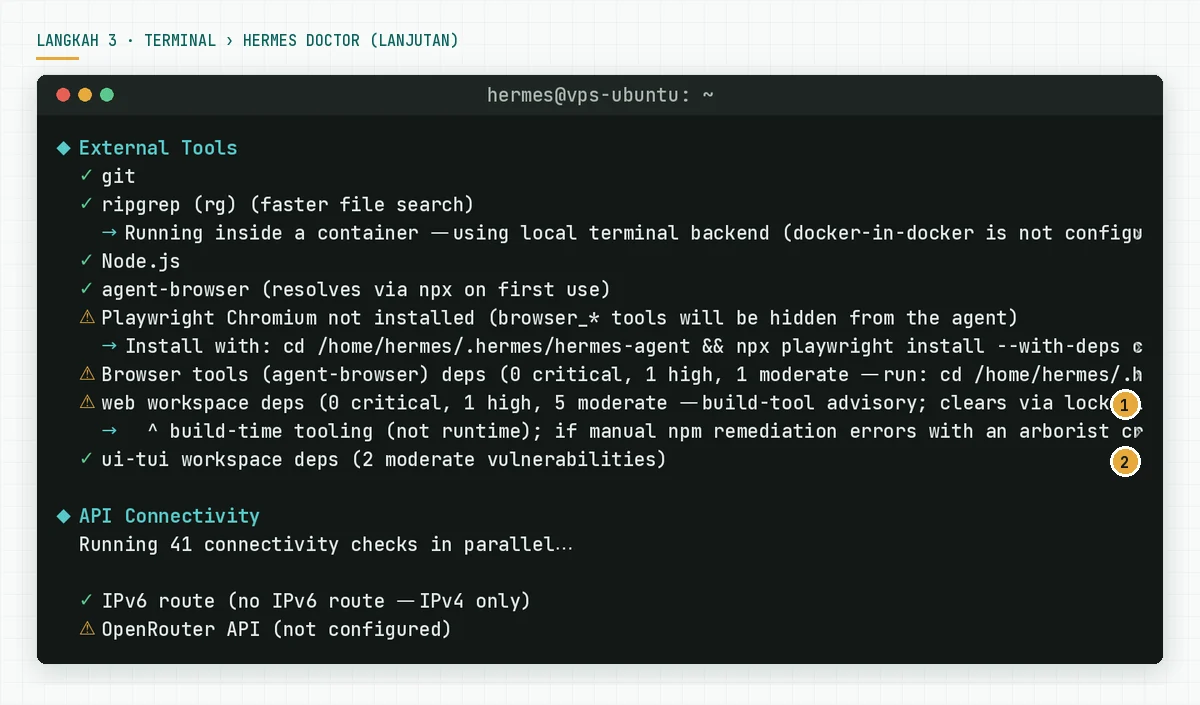 Keluaran hermes doctor bagian External Tools, API Connectivity, dan Tool Availability