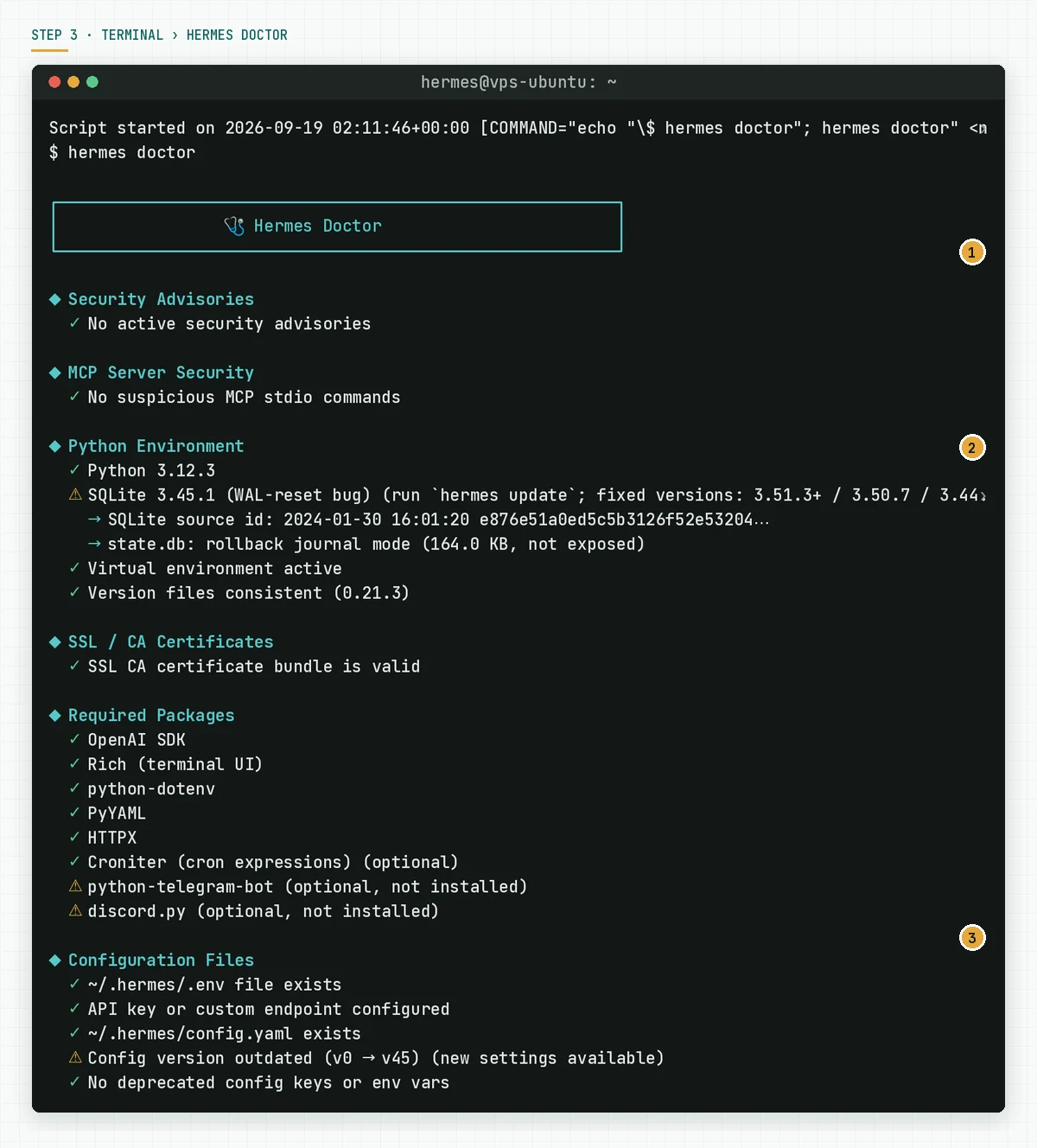 hermes doctor output with Security Advisories, Python Environment, Required Packages, Configuration Files, and Auth Providers
