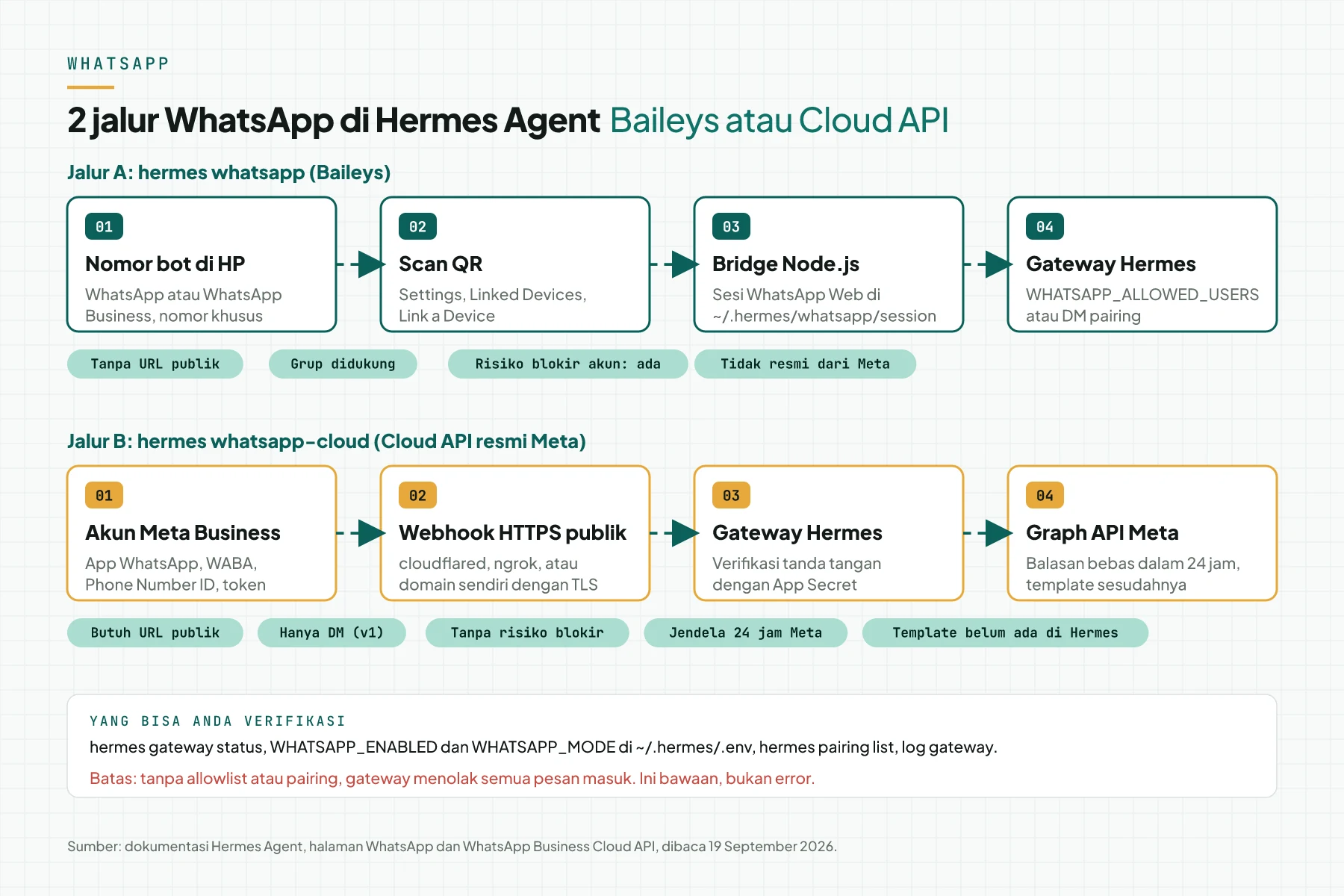Diagram 2 jalur WhatsApp di Hermes Agent: Baileys lewat QR dan bridge Node.js, Cloud API lewat akun Meta Business dan webhook publik