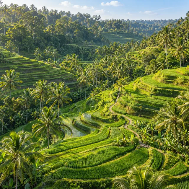 Contoh post: Panduan area